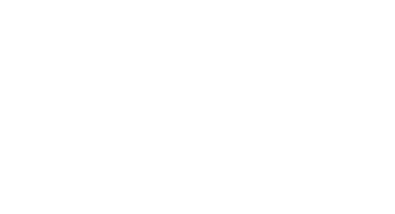 AFA Logo